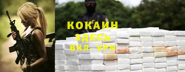 марки lsd Белокуриха